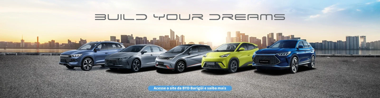 BYD Grupo Barigüi