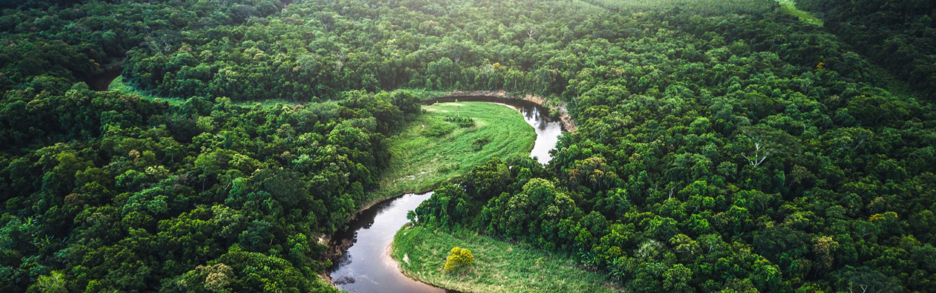 Banner Amazônia