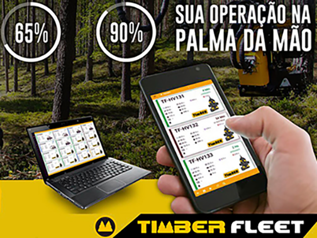 Na palma da mão Na palma da mão