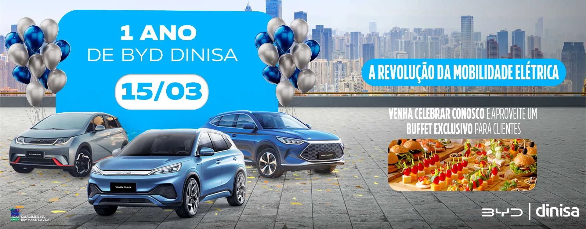 byddinisa