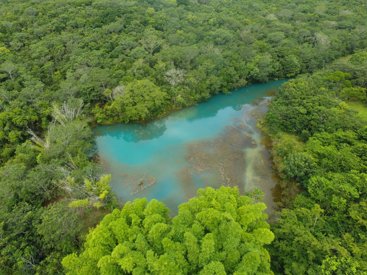 O Campo Dos Sonhos Vira Realidade