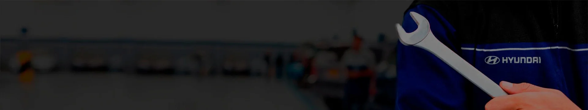 revisao programada